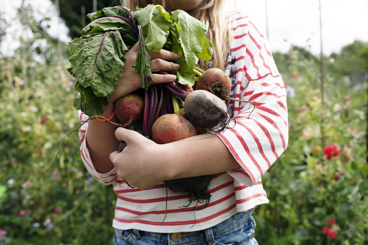 Beets held by child